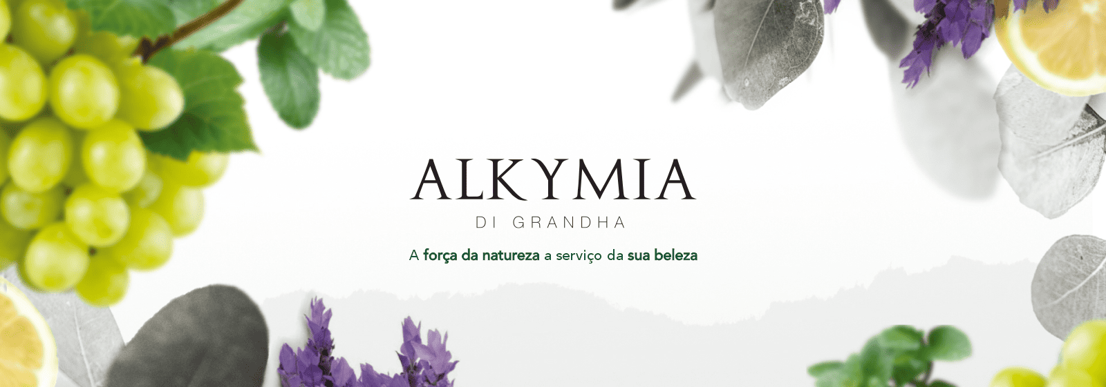 Alkymia Di Grandha